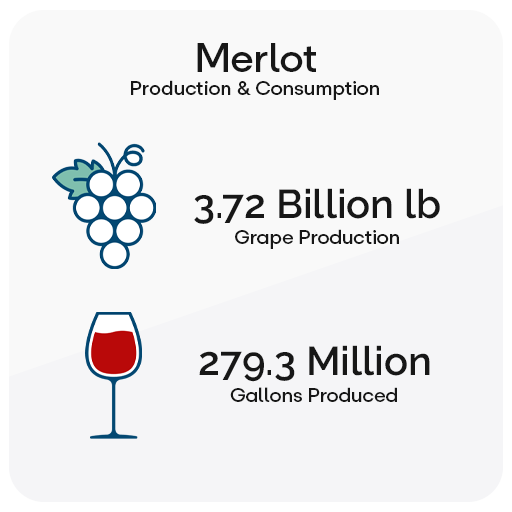 Merlot Production