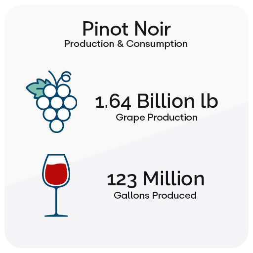 Pinot Noir Dry Red Wine Production