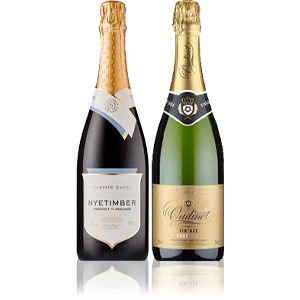Sparkling Wine Club – Prosecco, Brut, and celebratory sparkling wines